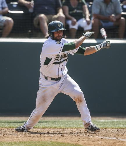 Michigan State University Baseball Clinics