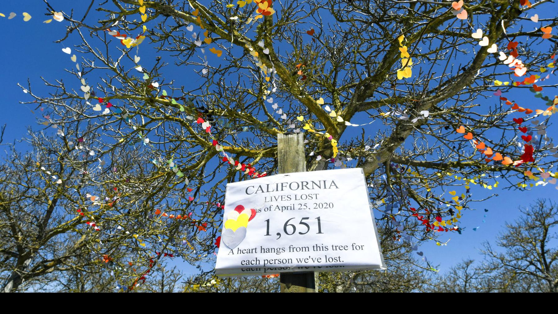Ballard Walnut Orchard Memorializes Covid 19 Deaths Local News Lompocrecord Com