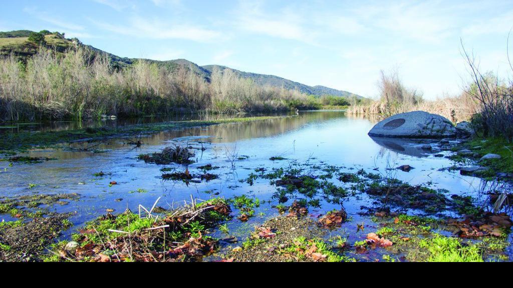 Judith Dale: The mighty Santa Ynez River | About Town | lompocrecord.com