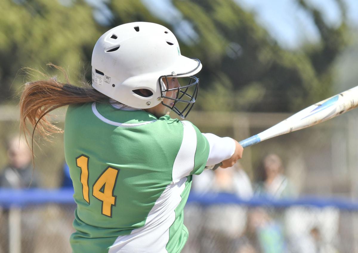 Photos: See who made our All-Area Softball Team!