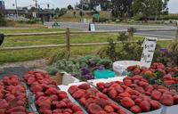 Santa Barbara County Route One Farmers Market earns nonprofit status