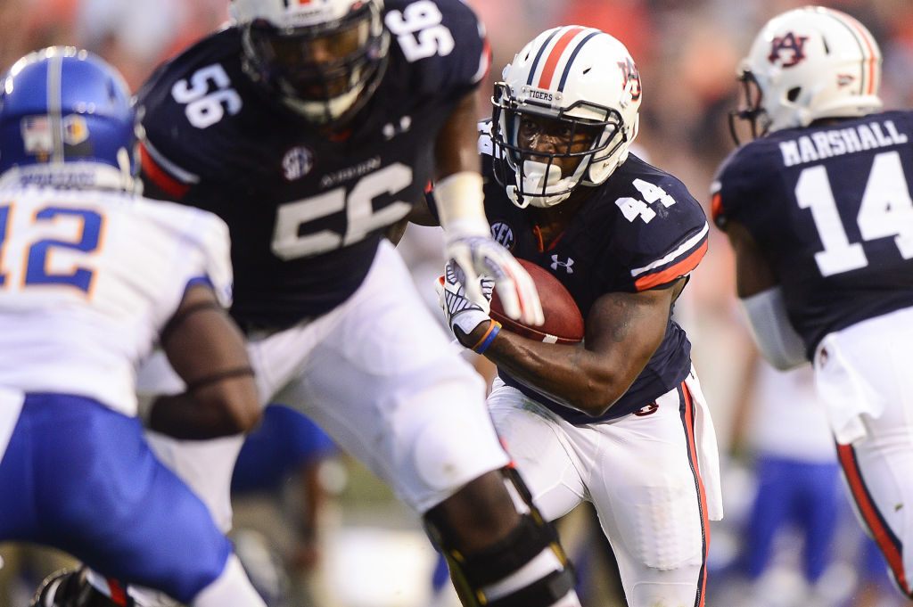 GALLERY: Cameron Artis-Payne's journey to Super Bowl 50