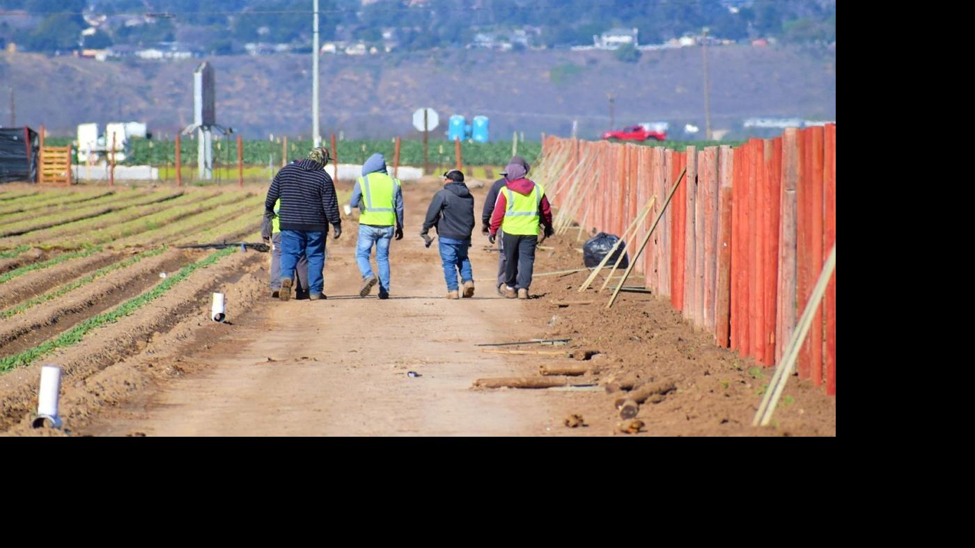 Local News | lompocrecord.com