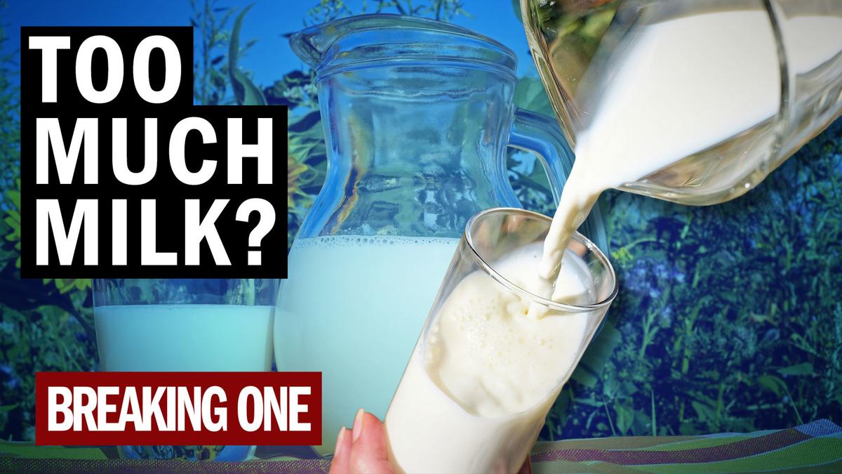 Why America has too much milk Food and Cooking