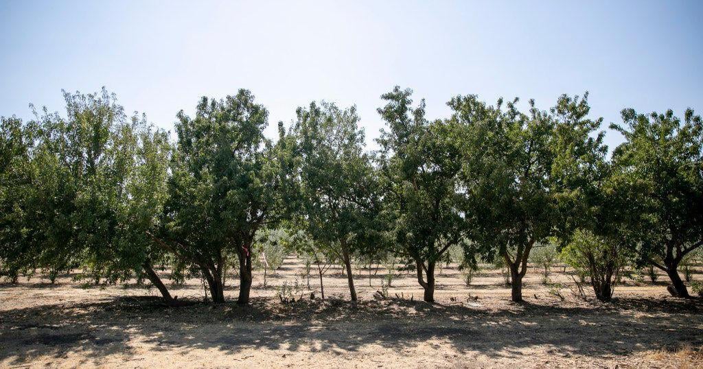 Fields of the Central Valley give way to chats with Ohio farmers | Kevin Merrill