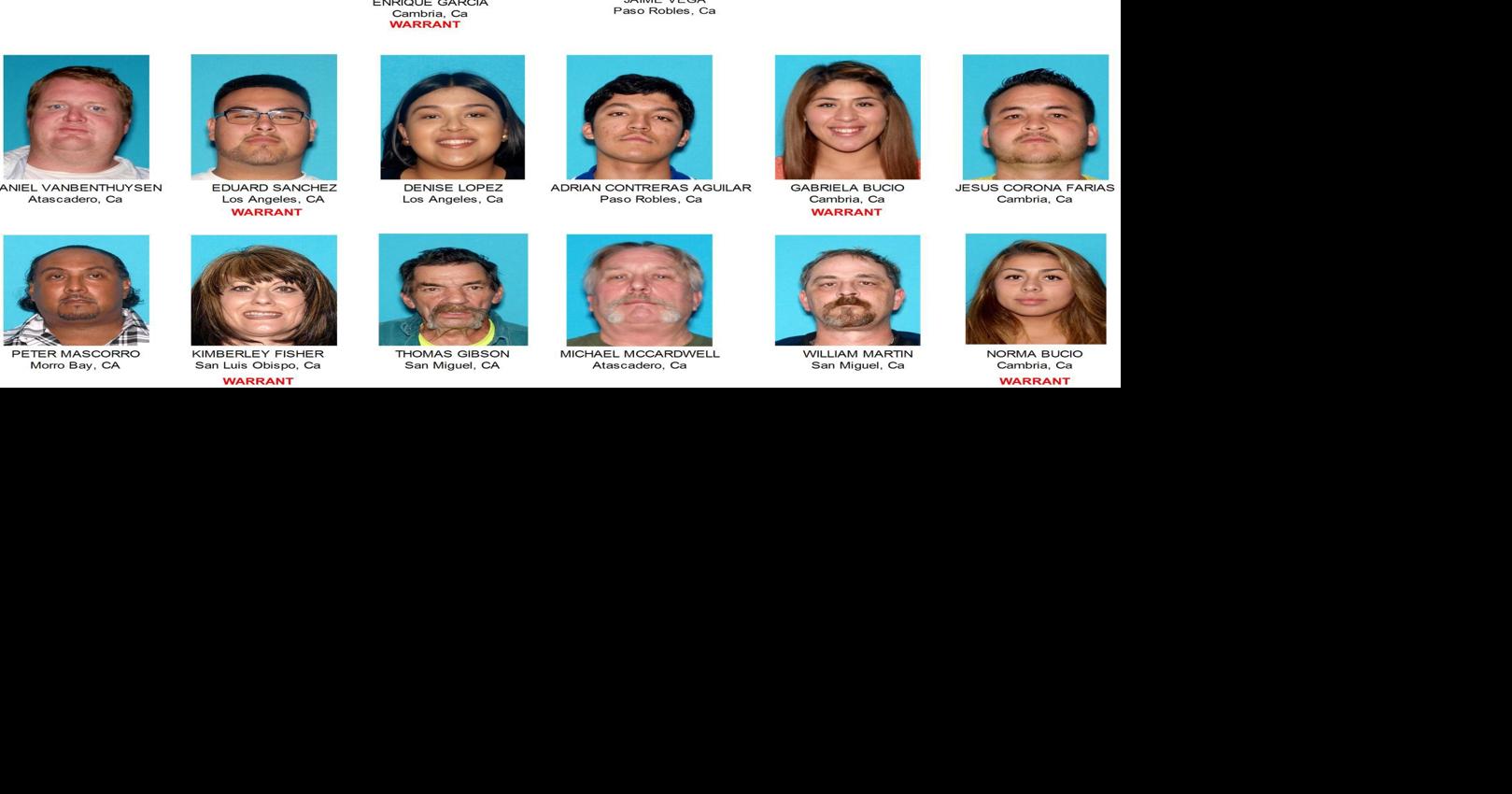 Bust of SLO County narcotics ring nets 10 arrests, almost 1M in drugs(02)