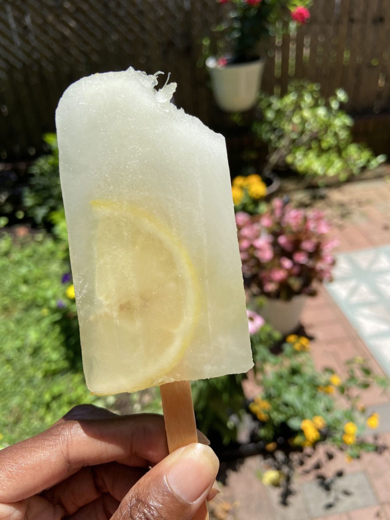Ice pops and cream pops make an easy, cool summer snack Lifestyles lompocrecord