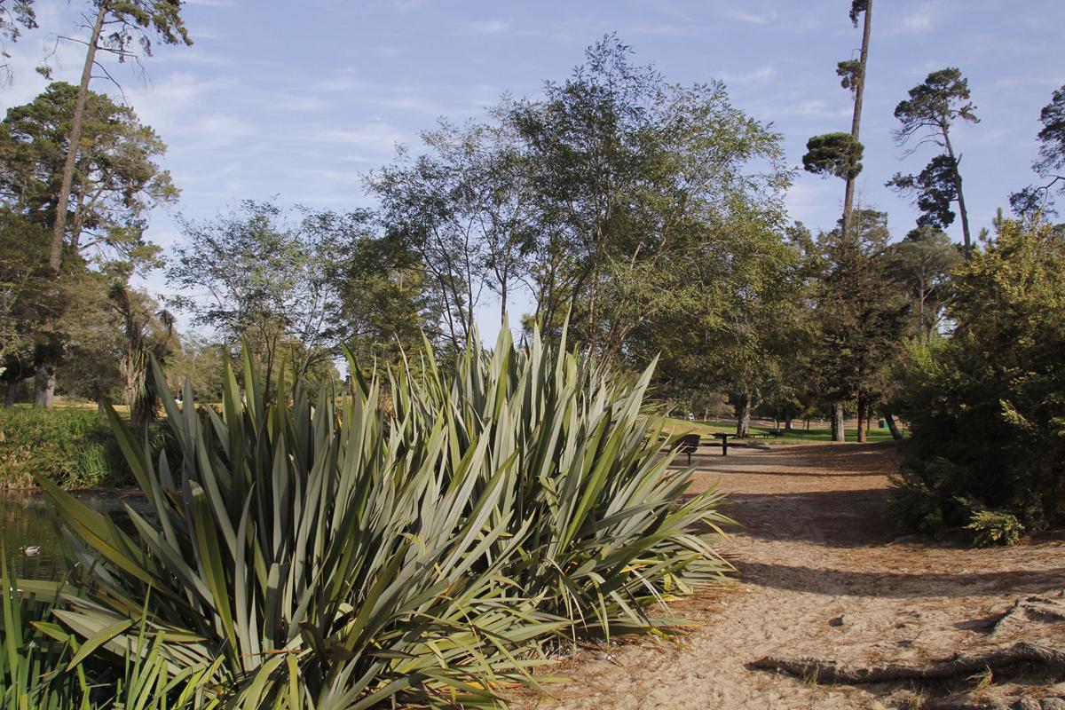 Waller Park