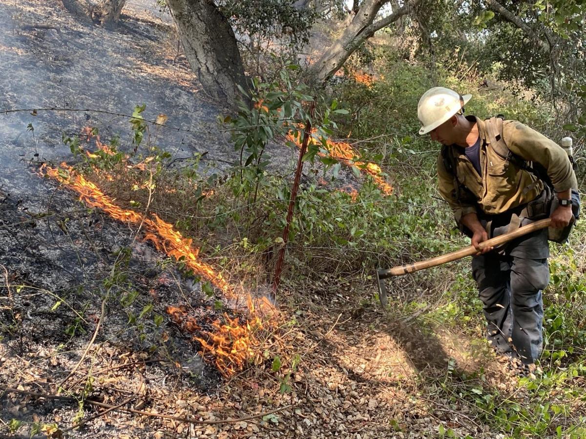 Lito fire response