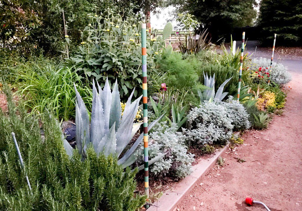 Water Shortages Why Some Californians Are Running Out In 2021 And Others Aren T State And Regional Lompocrecord Com