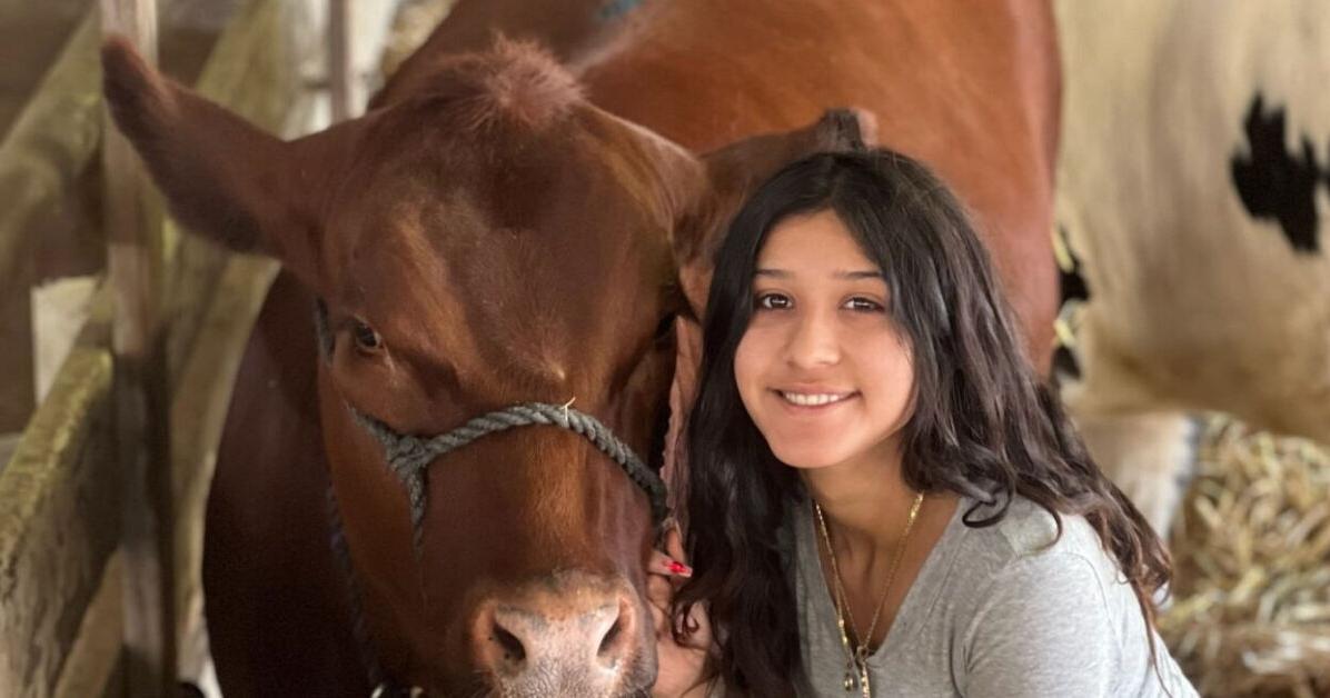 Group helps stir up bids at Santa Barbara County Fair livestock auctions - Vimarsana News
