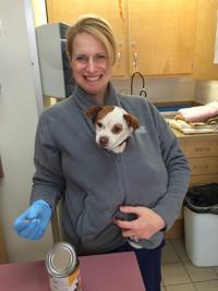 Significant improvements implemented at county Animal Services | | Significant improvements implemented at county Animal Services | |
