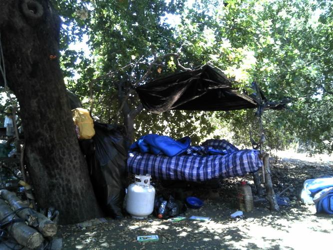 Authorities seized $131 million worth of pot in Santa Barbara County in ...