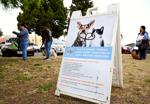 062823-smt-news-care-4-paws-clinic-007.jpg