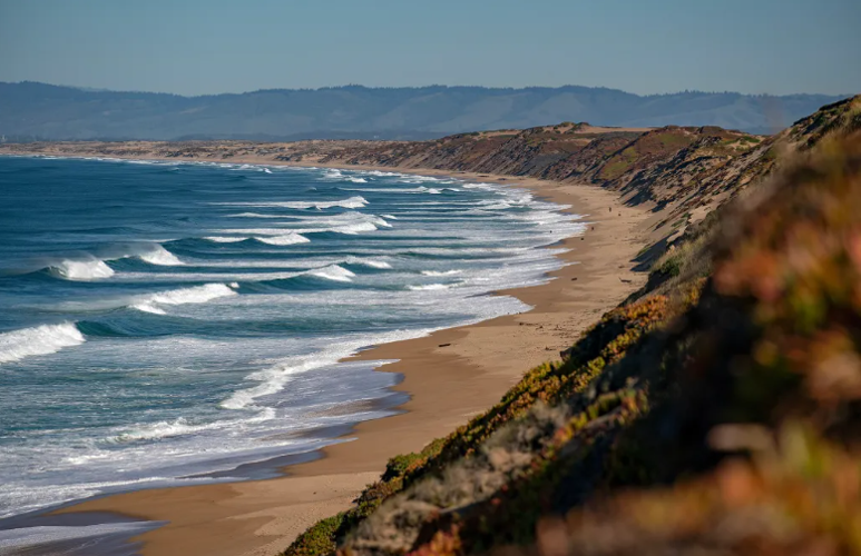 Monterey Bay dunes