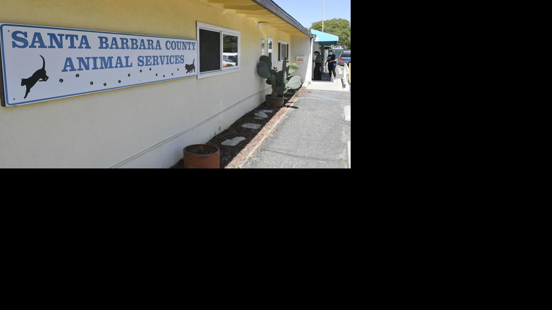 Lompoc animal shelter still being considered for consolidation as new