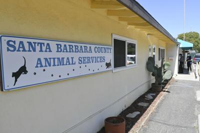 Santa Barbara County animal shelter in Lompoc