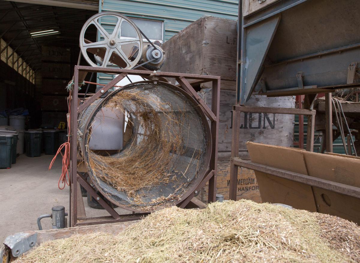 Farm To Table Kandarian Organic Farms Sows Seeds Of Ancient Grains Local News Lompocrecord Com