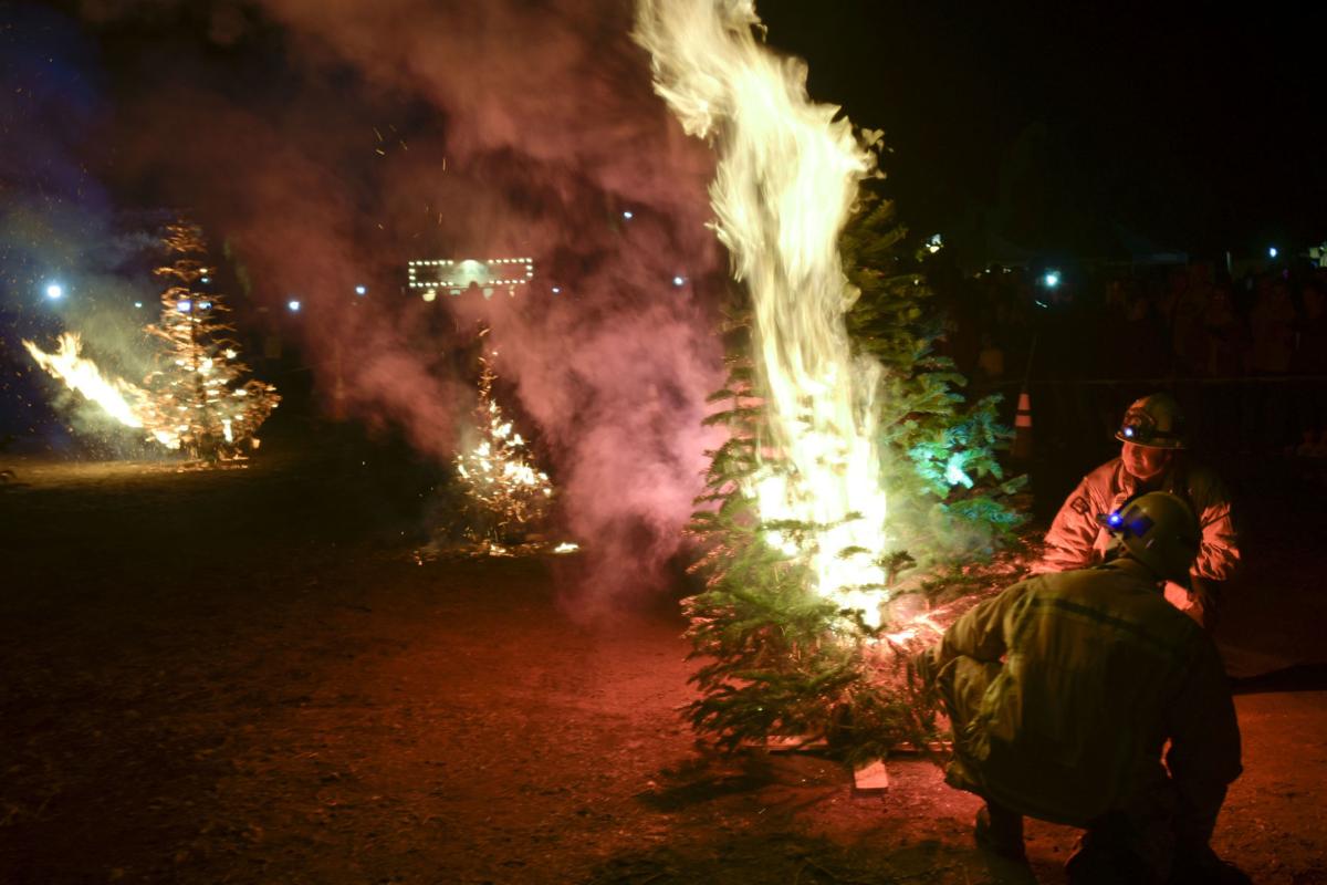 Solvang Christmas tree burn Friday night a festive event with a fire