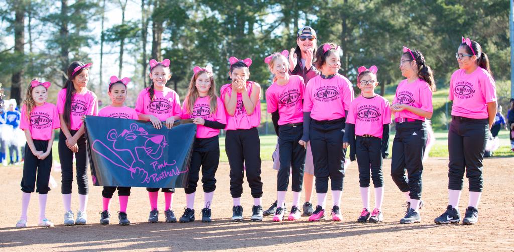 Funny Custom Pink Sox Softball Team - Ladies Slim Fit Basic Promo