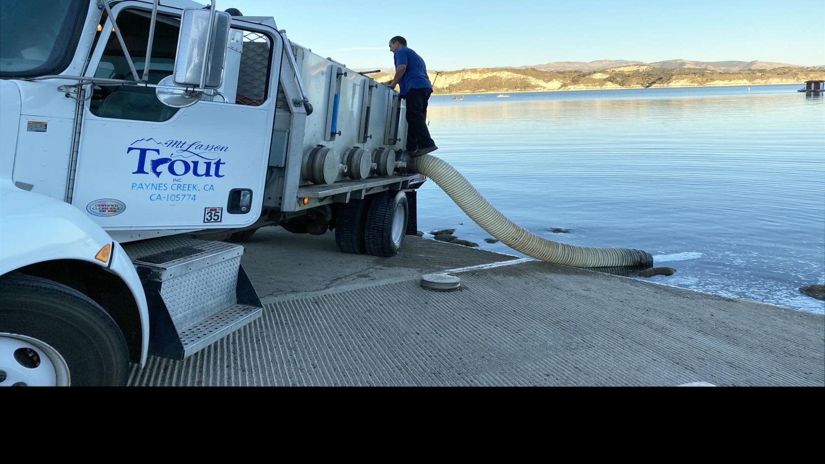 Second 4 000 Pound Delivery Of Rainbow Trout Released Into Cachuma Lake Local News Lompocrecord Com