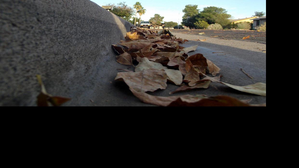 Gutters collect falling autumn leaves | Tony Tomeo | Home & Garden