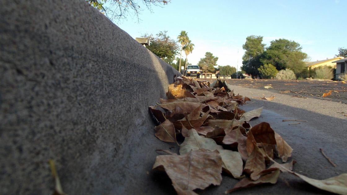 Gutters collect falling autumn leaves | Tony Tomeo | Home & Garden Gutters collect falling autumn leaves | Tony Tomeo | Home & Garden