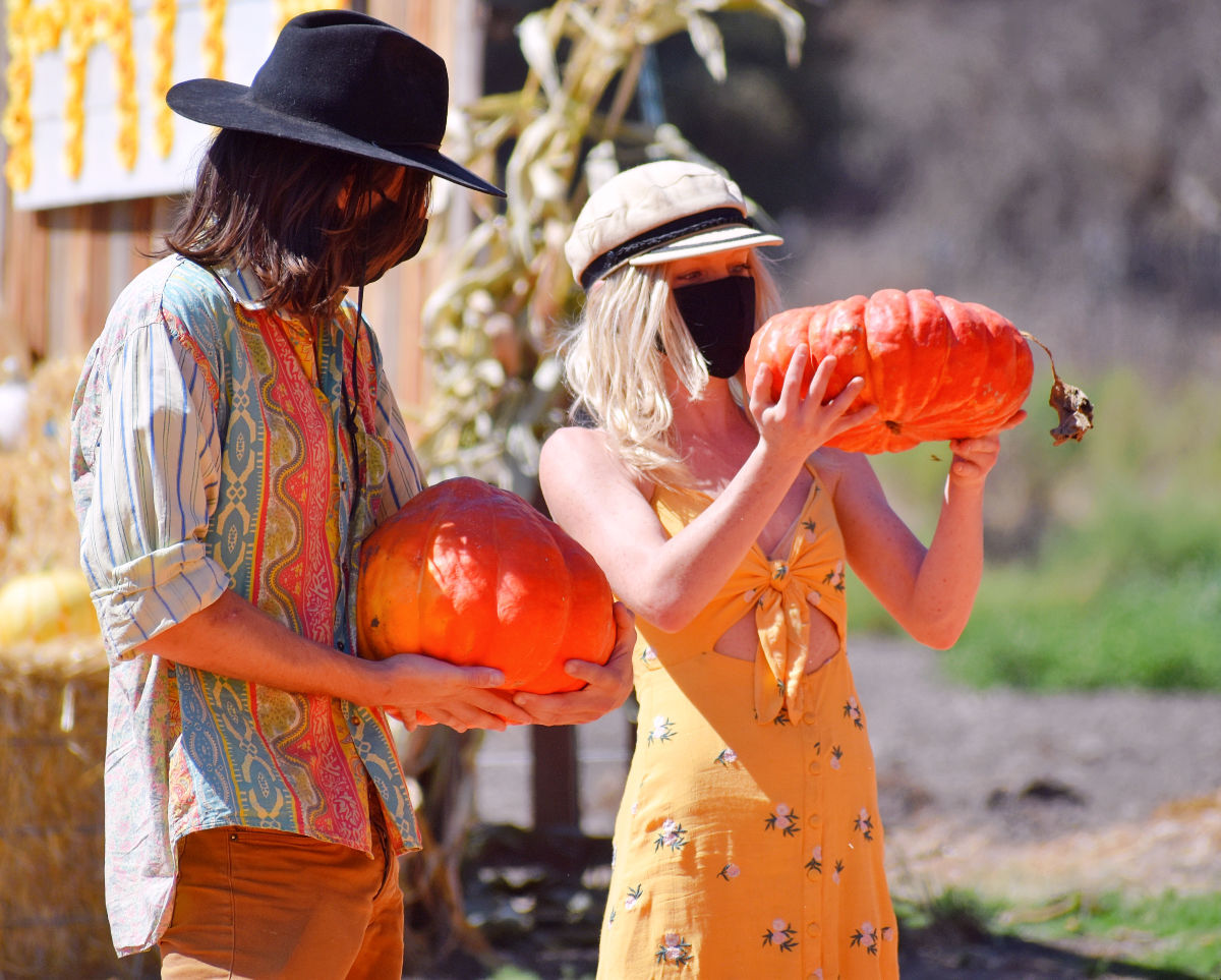 santa maria pumpkin patch