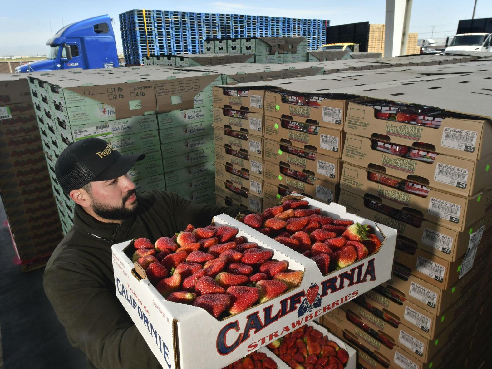 A Berry Good Time Santa Maria Valley Strawberry Festival Kicks Off Friday Local News Lompocrecord Com A Berry Good Time Santa Maria Valley Strawberry Festival Kicks Off Friday Local News Lompocrecord Com