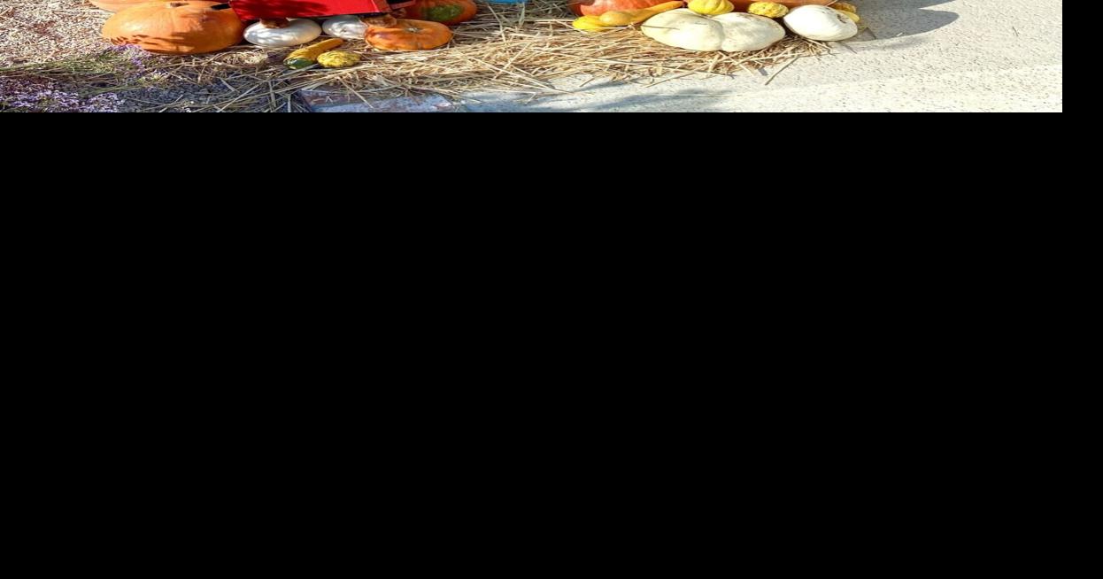 Dozens of scarecrows on display in the Santa Ynez Valley Photos