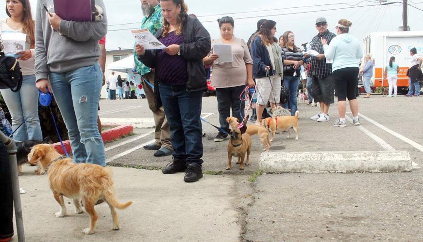 Lowcost pet clinic set for Saturday in Santa Maria Local News