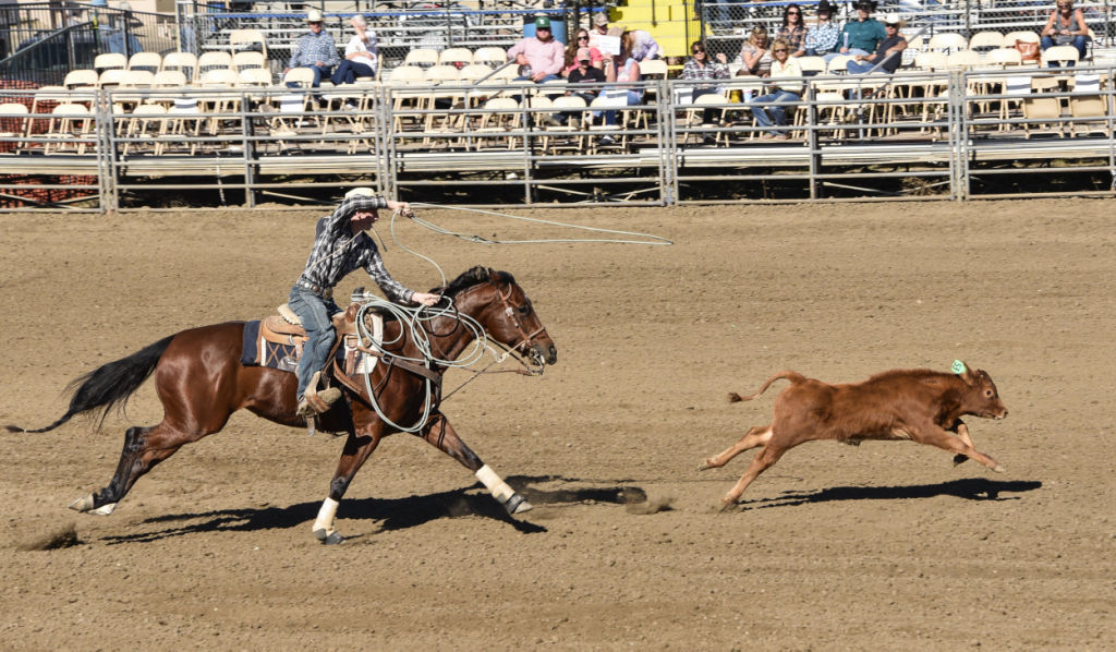 102514 High School Rodeo 20.jpg
