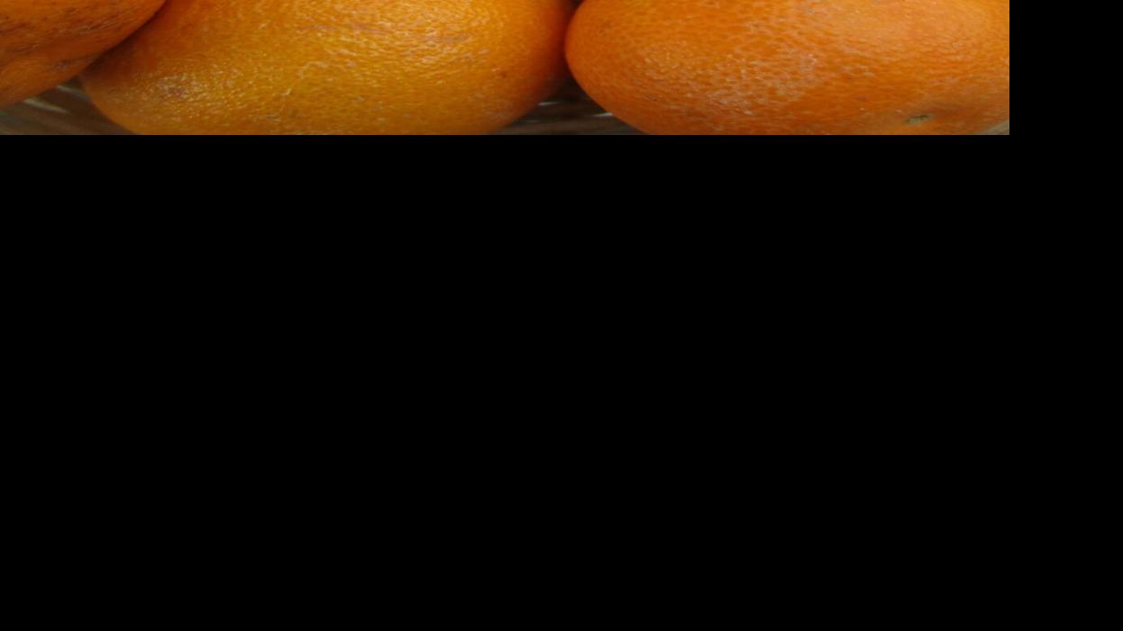 Tony Tomeo: Citrus fruits ripen by winter | Property & Back garden