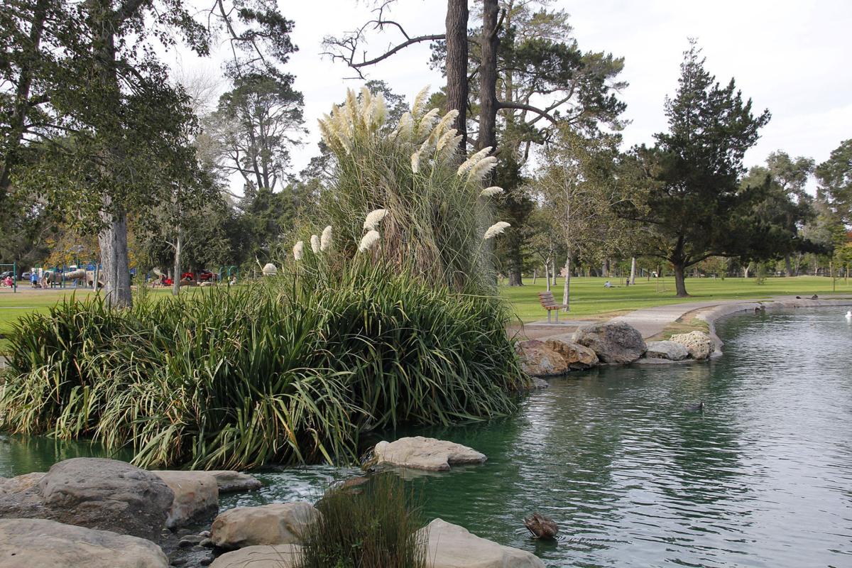Waller Park