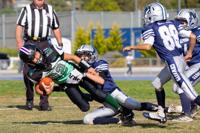 Guadalupe Bulldogs lead area youth football teams who won CCYFL Super Bowl  titles on Saturday, High School