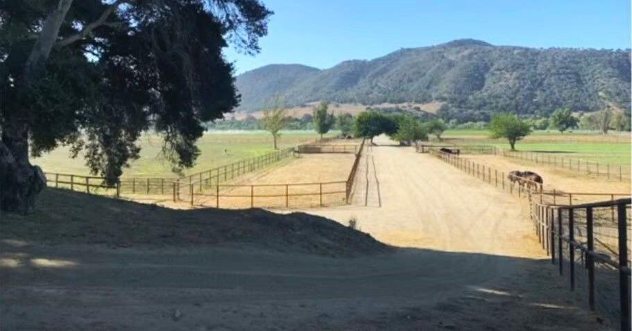 Santa Ynez Valley equestrian facility decision put on hold to eliminate weddings - Vimarsana News