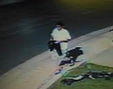 LPD armed robbery