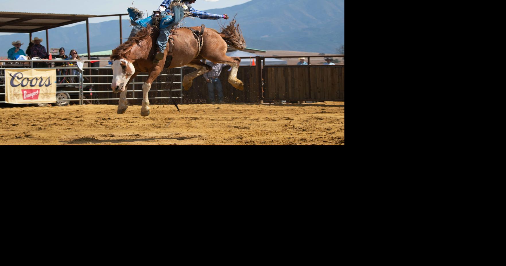 Photos: Santa Ynez Valley Wine County Rodeo brings the rodeo back to ...