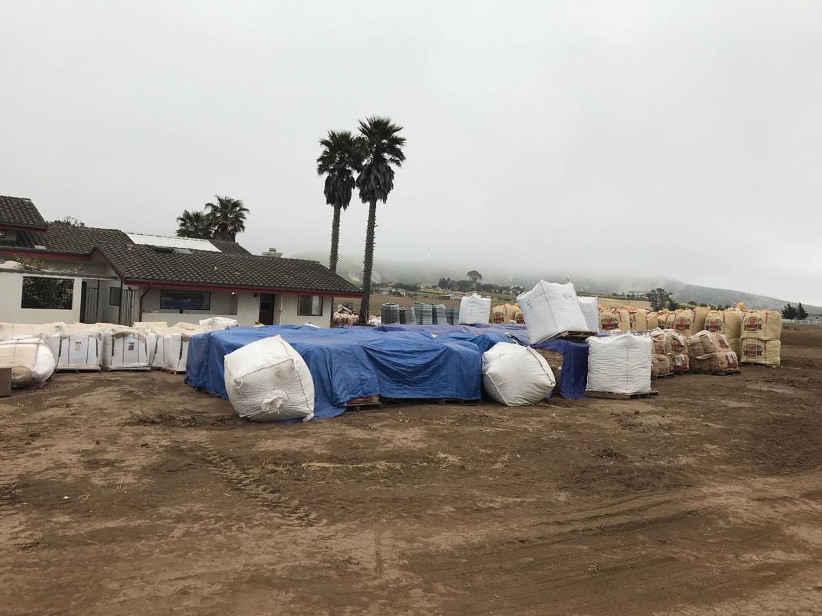 Sheriff's Office raids suspected illegal cannabis grows in Lompoc