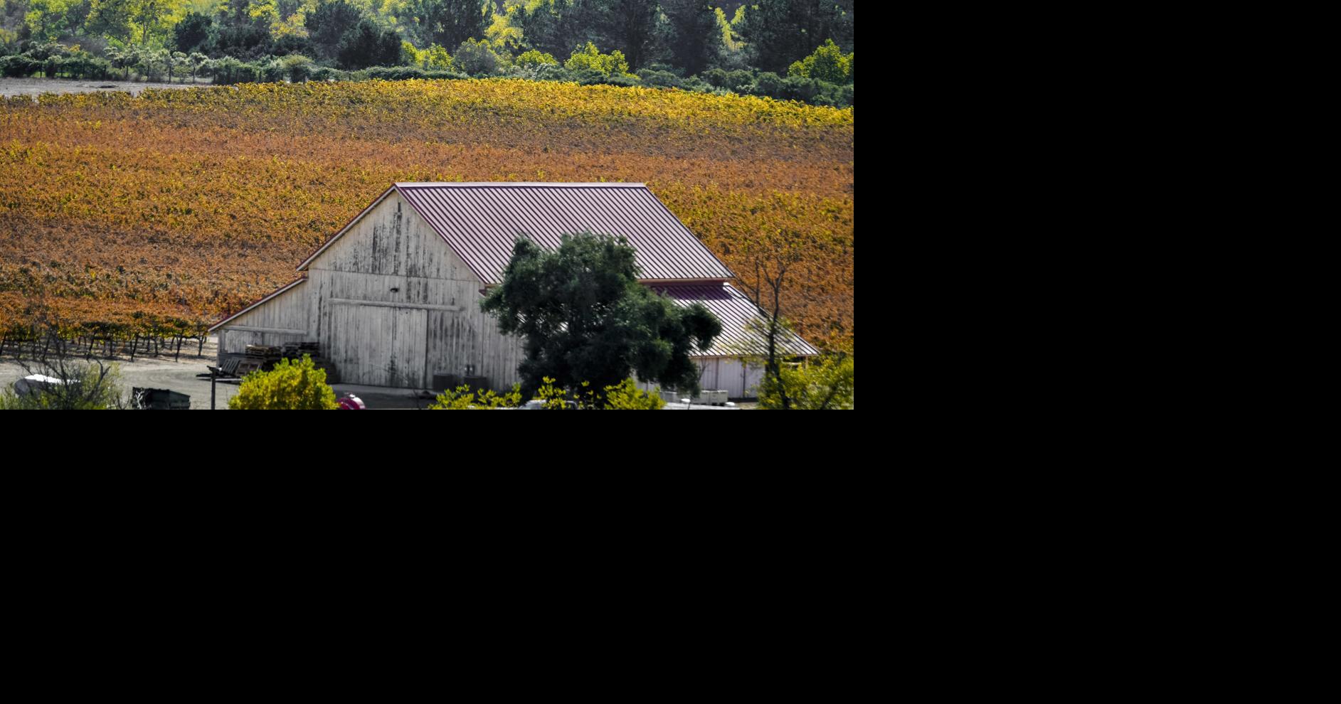 Making a difference for farmers, ranchers at state, federal level | Kevin Merrill