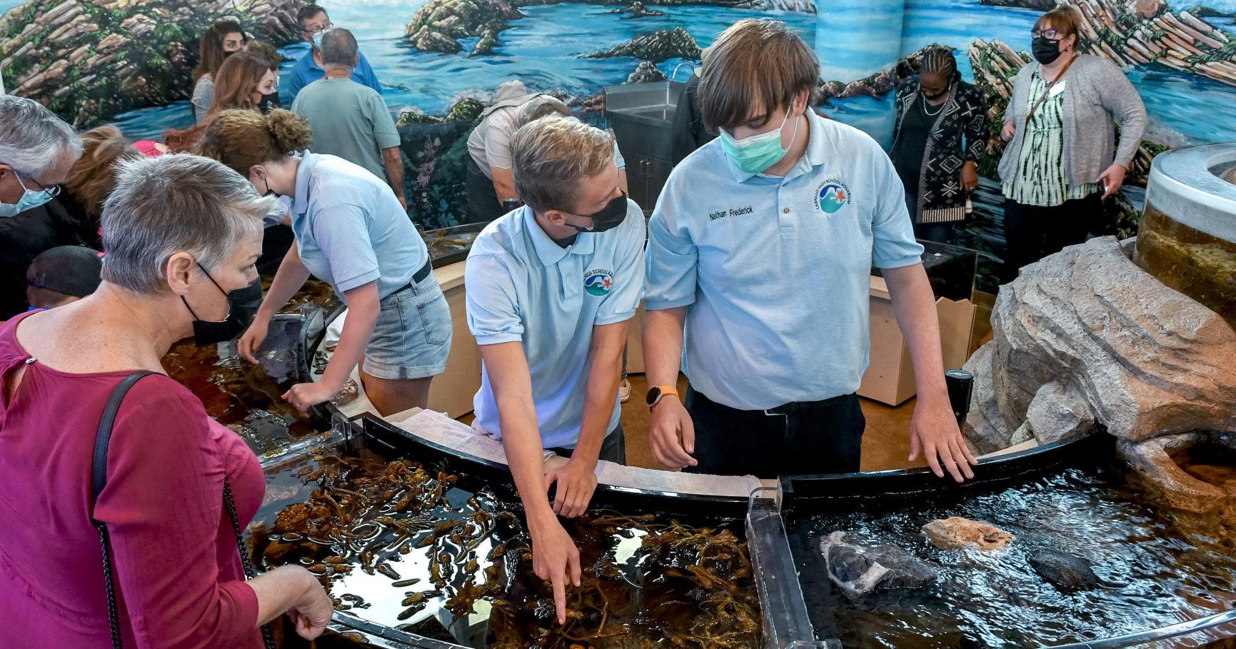 Cabrillo High Aquarium presents 'Marine Mammals' community Open House - Vimarsana News