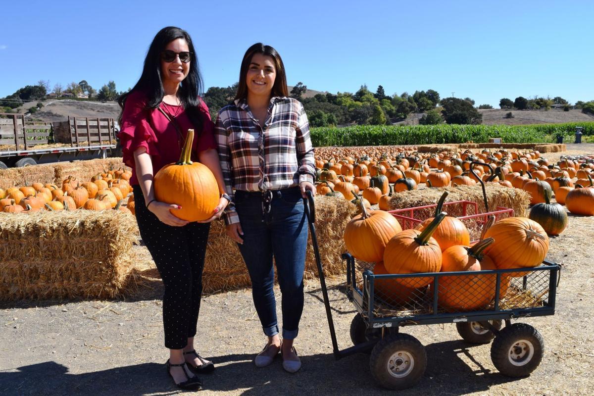 Solvang Farmer Pumpkin Patch: Three generations and growing