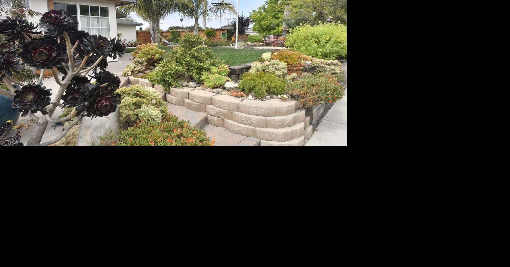 Lompoc seeking nominees for new Spring Yard Beautification Award