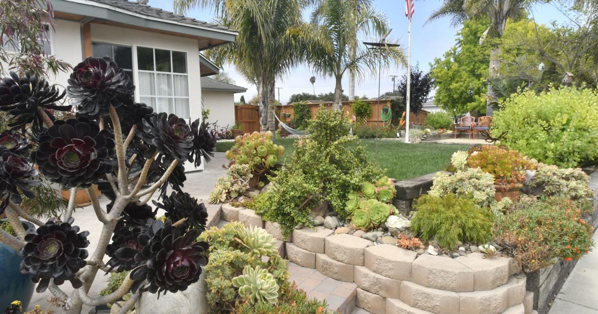Lompoc seeking nominees for new Spring Yard Beautification Award ...