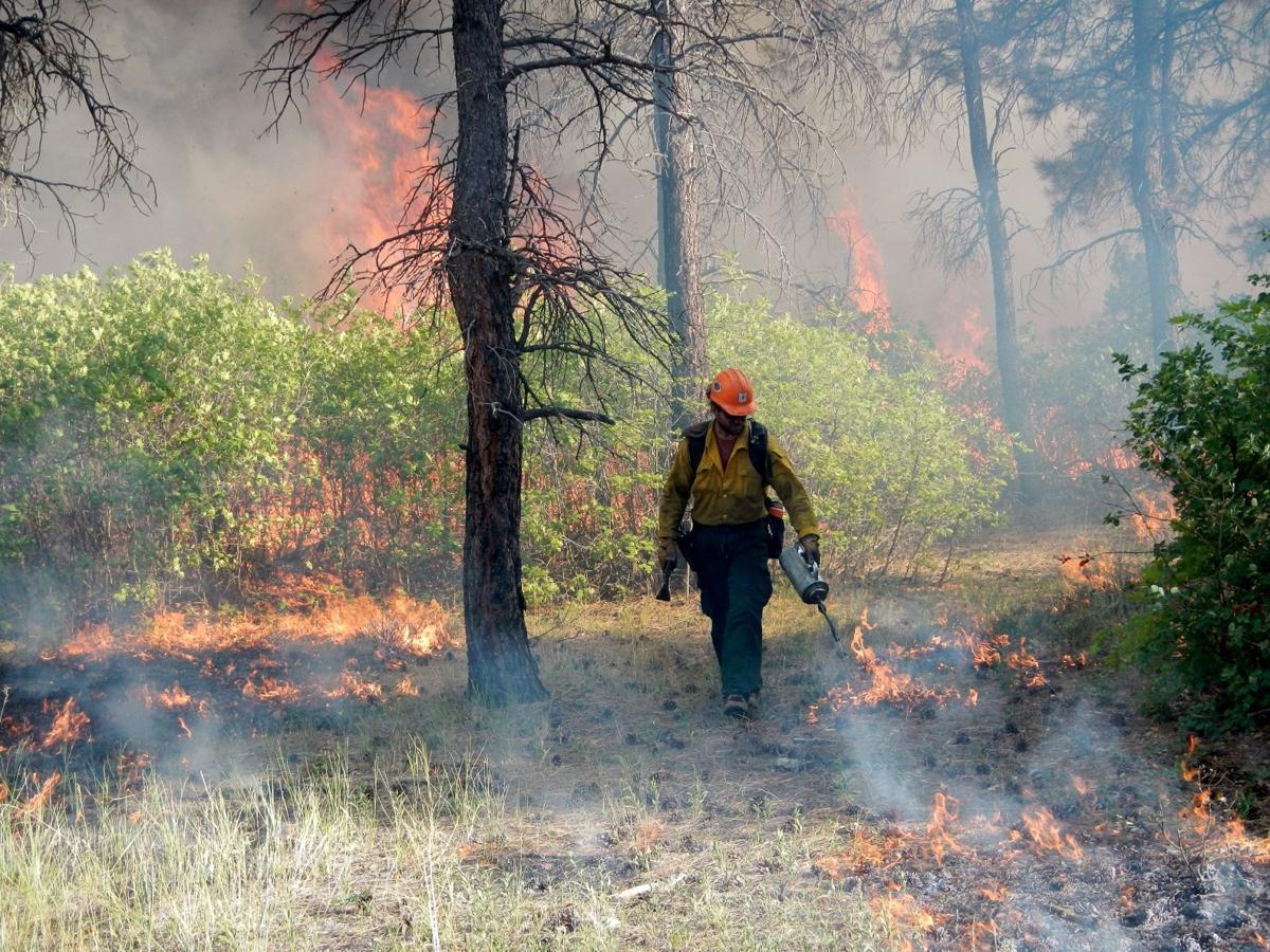 Prescribed burning to begin on Los Padres National Forest