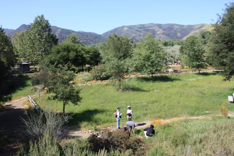 Santa Ynez Valley Botanic Garden to build new elevated trail with 