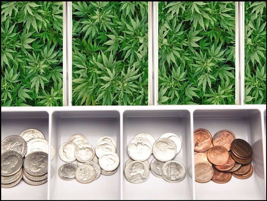 Cannabis is cash