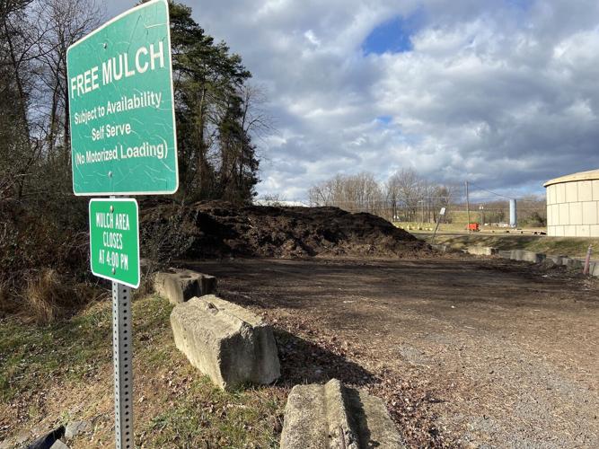 Loudoun, Leesburg Offer Christmas Tree Recycling Loudoun