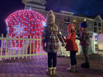 Leesburg's Wish Tree Lights Up for Loudoun Hunger Relief