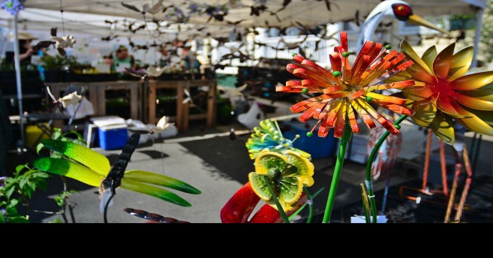 Photo Gallery Leesburg Flower and Garden Festival Returns Downtown